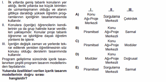 program geliştirme testi