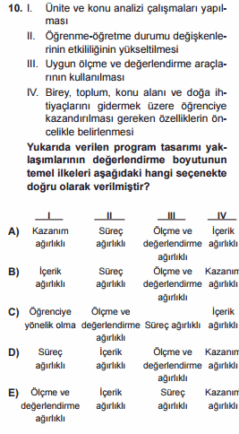 program geliştirme testi