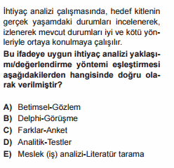 program geliştirme testi