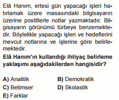 program geliştirme testi