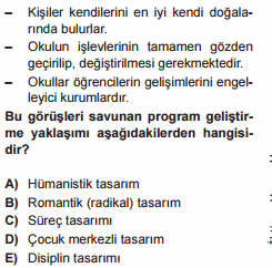program geliştirme testi