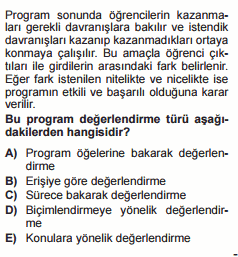 program geliştirme testi