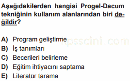 program geliştirme testi