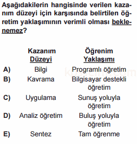 program geliştirme testi