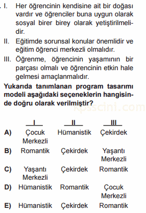 program geliştirme testi