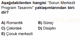 program geliştirme testi
