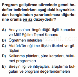 program geliştirme testi