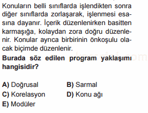 program geliştirme testi
