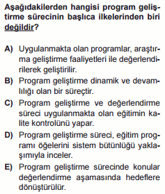 program geliştirme testi