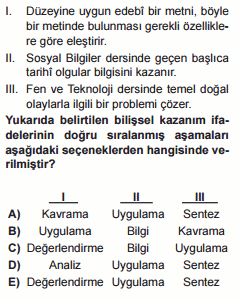 program geliştirme testi