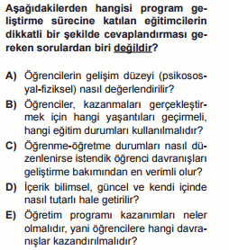 program geliştirme testi