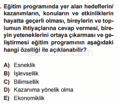 program geliştirme