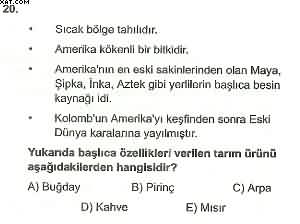 Coğrafya ÖABT Denemesi Çöz