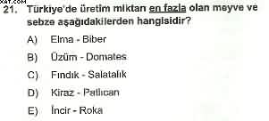 Coğrafya ÖABT Denemesi Çöz
