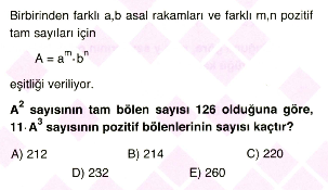 Bölme-ebob-ekok2-7