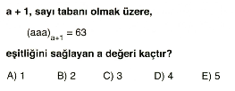 sayilar-testi-11