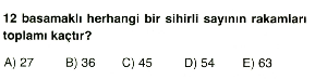 sayilar-testi-7