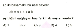 sayilar-testi2-13