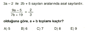 sayilar-testi2-7