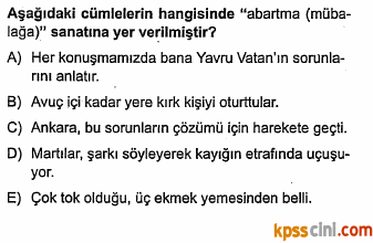 sözcükte anlam testi çöz