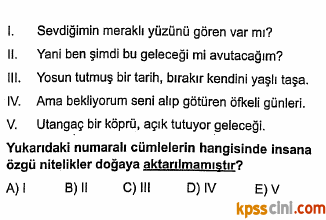 sözcükte anlam testi çöz