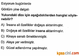 sözcükte anlam testi çöz