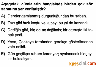 sözcükte anlam testi çöz